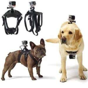 תפסן מצלמות אקסטרים לכלבים משני זוויות